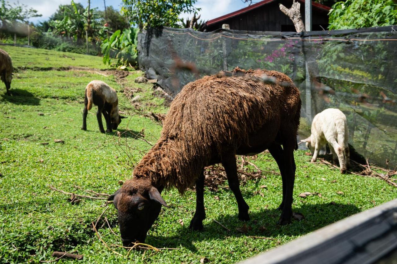 Hotel & Spa Escondite De La Montana Sabana Redonda Kültér fotó